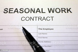 Someone filling out seasonal work contract agreement.
